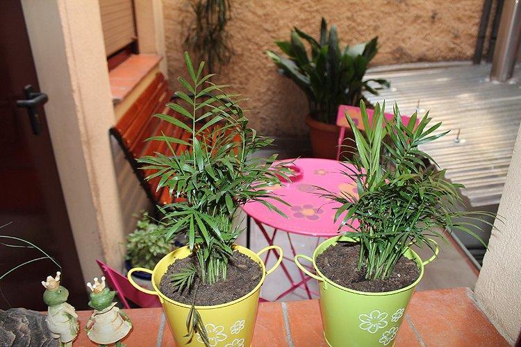 Hostal La Barretina Фігерас Екстер'єр фото